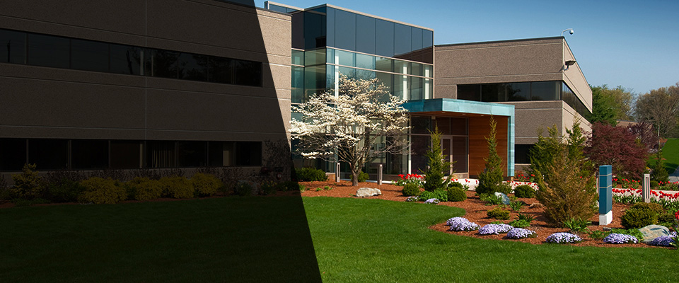 Jersey City Landscapers