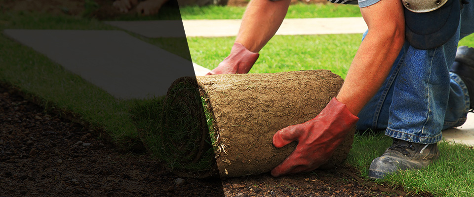 Jersey City Landscapers